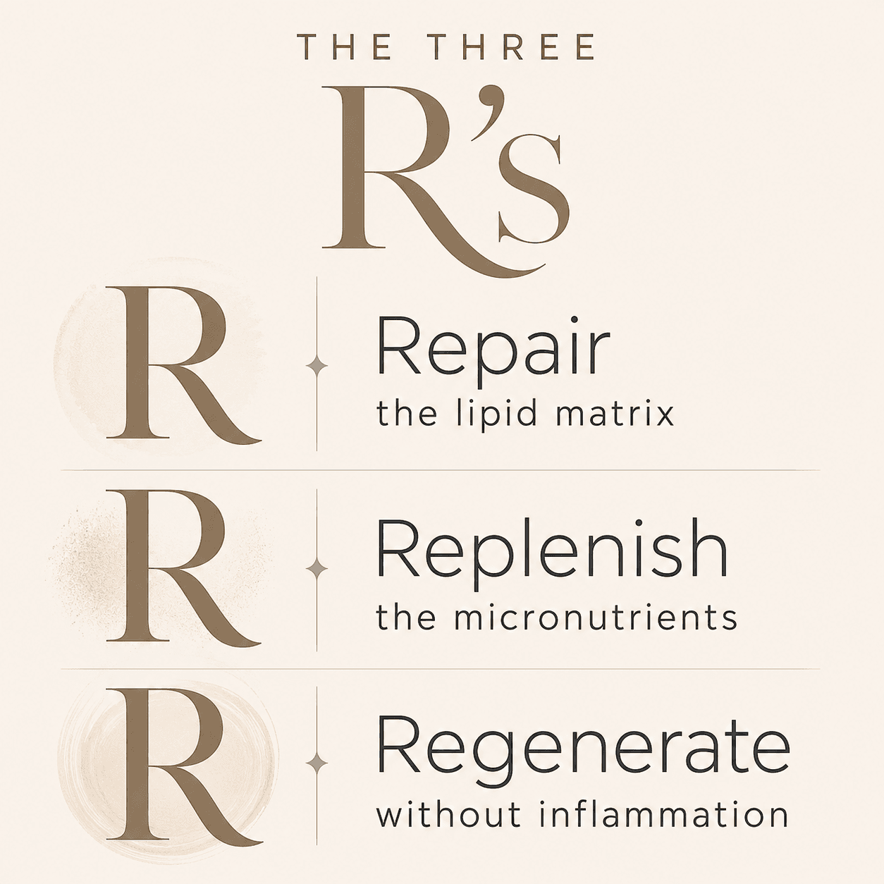 The 3 R's framework — Repair, Replenish, Regenerate — the three continuous actions menopausal skin is asking for, distributed across morning and evening according to which is most useful when.