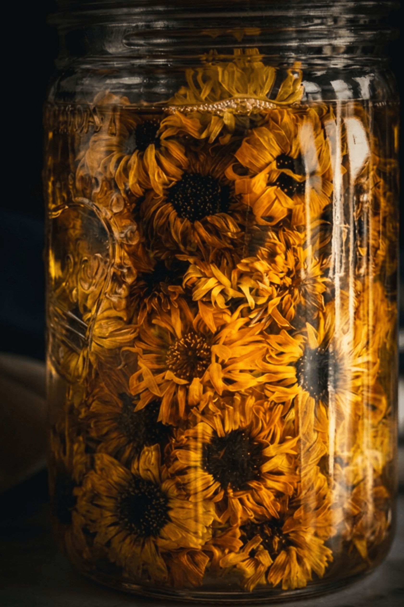 Whole calendula (marigold) flowers steeping in a glass jar of rice bran oil — the slow botanical infusion that becomes the base of TERRA GLOW Head to Toe Botanical Oil